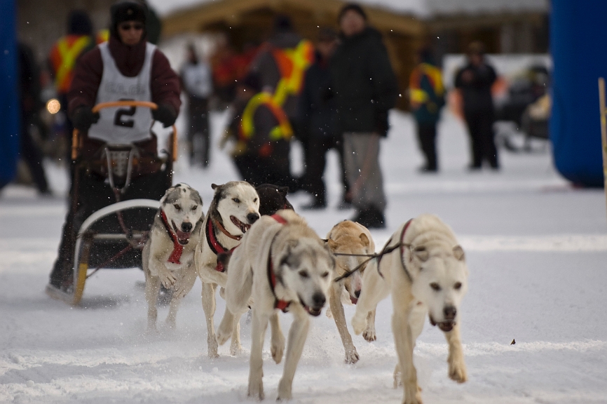 2009-03-14, Competition de traineaux a chiens au Bec-scie (110433).jpg - Au départ